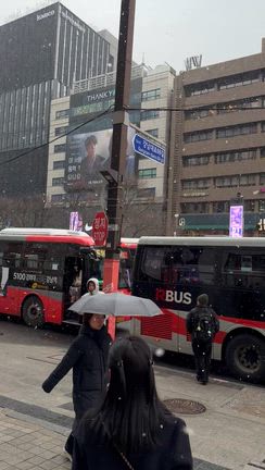 韓国一週目の記事動画