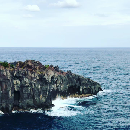 伊豆旅行（後半） 城ヶ崎海岸〜カピバラ〜熱海の記事動画