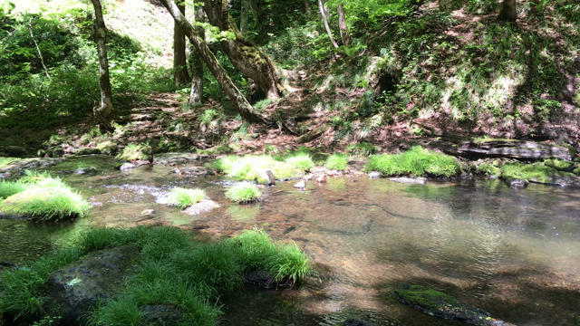 福島 猪苗代湖周辺観光の記事動画