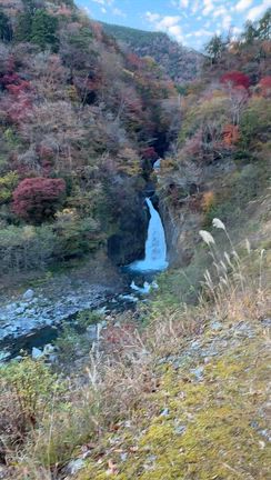12月になってました(^^;;＋紅葉狩り行ってました！の記事動画
