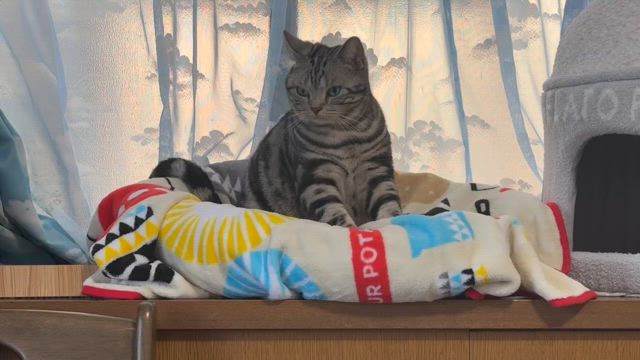 2月スタート！今月もよろしくですo(^-^)oの記事動画