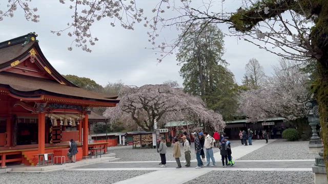 4月だ！の記事動画