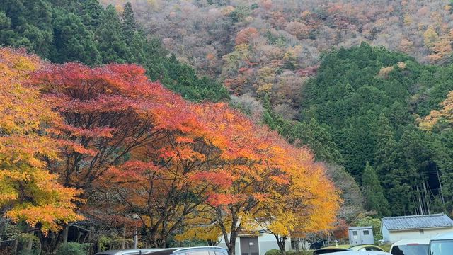 12月になってました(^^;;＋紅葉狩り行ってました！の記事動画