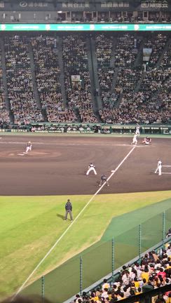 【１回生必見】なかよしの記事動画
