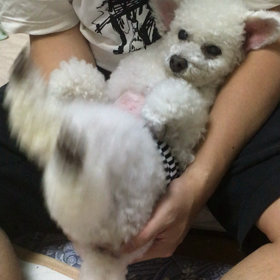 ゆーらゆーらの画像