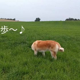 おニューのスマホの画像