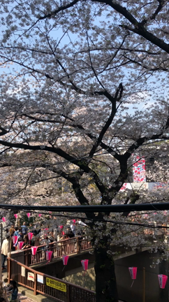 朗報☆代官山までが近くなった！の記事動画