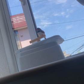 熱中症は部屋にいる時こそ気をつけるの画像