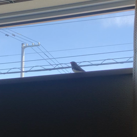 ひと息付ける時間は、めちゃくちゃ大事の画像