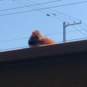 あちぃ〜の画像