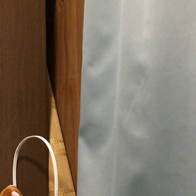 動画の画像