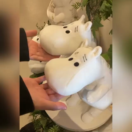 新発売！ナーバスムーミンの記事動画