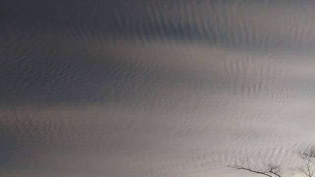 龍雲を動画におさめてみた✨️ご加護をお裾分け✨️ vol.311の記事動画