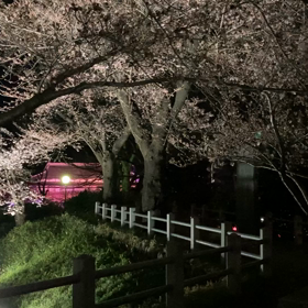 寒さに負けずの画像