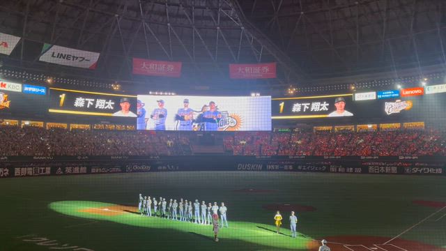 日本シリーズの記事動画