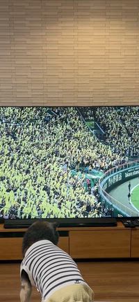 甲子園名物ジェット風船の記事動画