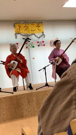野の花‼︎の記事動画
