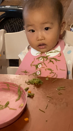 1歳の船出の記事動画