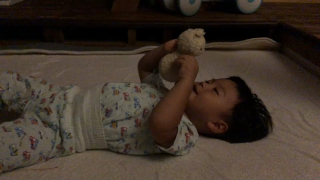 【ぴよぴよ】の記事動画