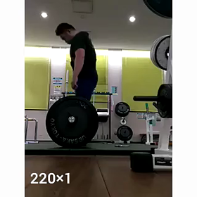 DL220の画像