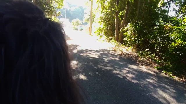 生駒市の神社。の記事動画