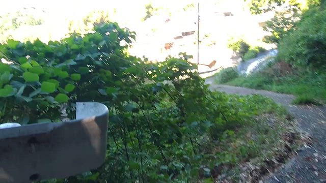 生駒市の神社。の記事動画