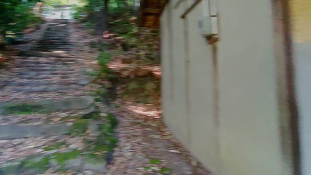 生駒市の神社。の記事動画