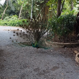 Dam Sen パークの画像