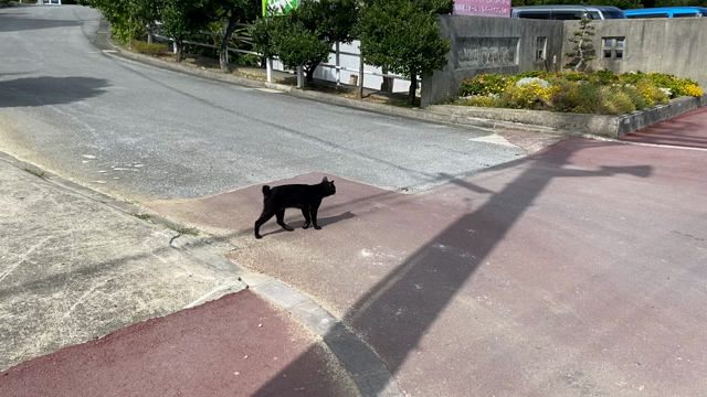 【沖縄】斎場御嶽 せーふぁーうたきの記事動画