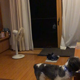 回転キャッチの画像