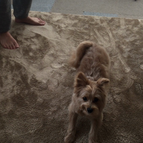 がっちゃんのトイレ後の舞❤️✨の画像