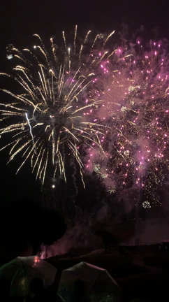 夏休み♡の記事動画
