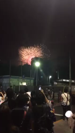 隅田川花火大会の記事動画