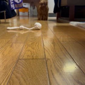 走りまくりの画像