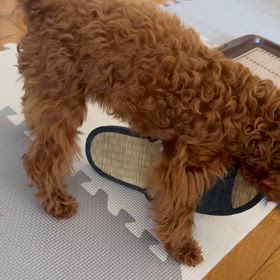 絶賛イタズラ中の画像