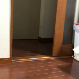 にゃんこでも取って来いができるのです。の画像