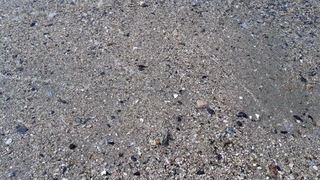 叶える為に。の記事動画