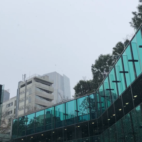 小雪舞う、東京都港区六本木の画像