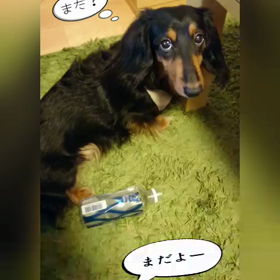 ペットボトルinおやつの画像