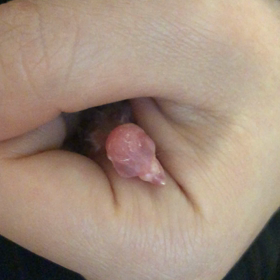 ダメでした…の画像