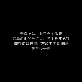 飼育の画像