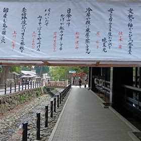 出雲大社の画像