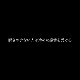 見た目の画像