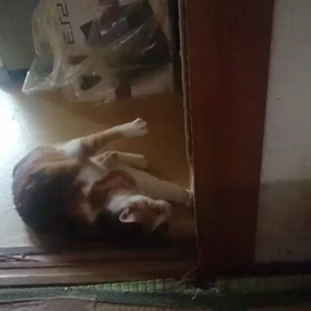 逃亡の画像