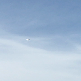 山の上からの画像