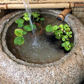 涼しげの画像