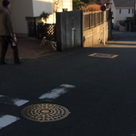 本物 のワイヤーフォックの画像