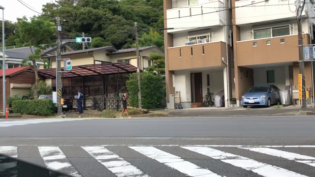 1週間の記事動画