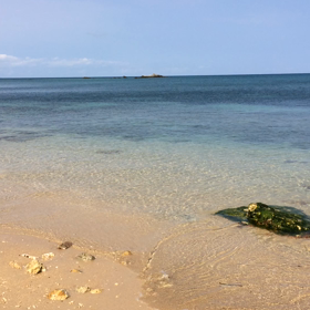 なう 石垣島の海岸の画像