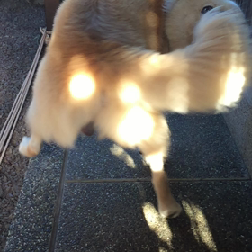 回るまわる〜♪の画像